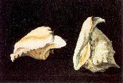 Napoletano, Filippo Two Shells oil